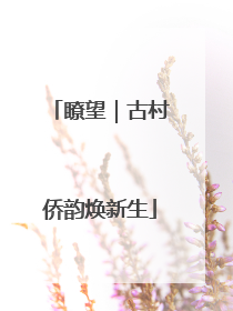 瞭望｜古村侨韵焕新生