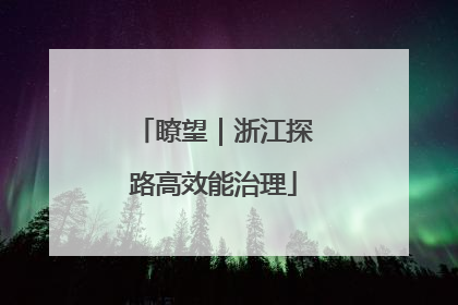 瞭望｜浙江探路高效能治理