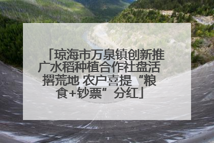 琼海市万泉镇创新推广水稻种植合作社盘活撂荒地 农户喜提“粮食+钞票”分红