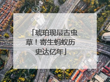 琥珀现最古虫草！寄生蚂蚁历史达亿年