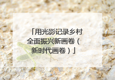 用光影记录乡村全面振兴新画卷（新时代画卷）