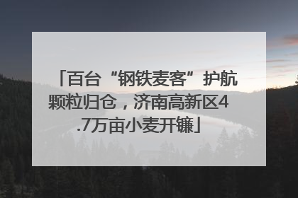 百台“钢铁麦客”护航颗粒归仓，济南高新区4.7万亩小麦开镰