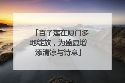百子莲在厦门多地绽放，为盛夏增添清凉与诗意