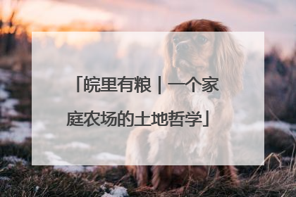 皖里有粮｜一个家庭农场的土地哲学