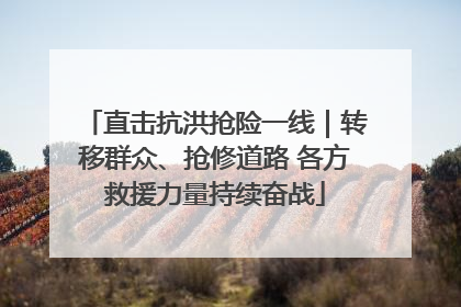 直击抗洪抢险一线｜转移群众、抢修道路 各方救援力量持续奋战