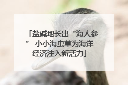 盐碱地长出“海人参” 小小海虫草为海洋经济注入新活力