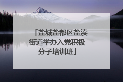 盐城盐都区盐渎街道举办入党积极分子培训班