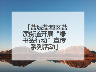 盐城盐都区盐渎街道开展“绿书签行动”宣传系列活动