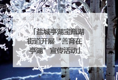 盐城亭湖宝瓶湖街道开展“善育在亭湖”宣传活动