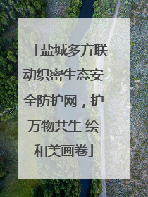 盐城多方联动织密生态安全防护网，护万物共生 绘和美画卷