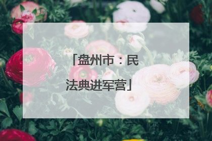 盘州市：民法典进军营