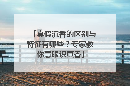 真假沉香的区别与特征有哪些？专家教你慧眼识真香
