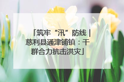 筑牢“汛”防线｜慈利县通津铺镇：干群合力抗击洪灾
