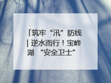 筑牢“汛”防线｜逆水而行！宝峰湖 “安全卫士” 出鞘 防汛应急再添硬核力量