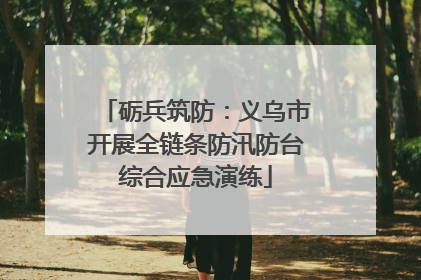 砺兵筑防：义乌市开展全链条防汛防台综合应急演练