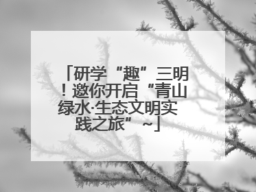 研学“趣”三明！邀你开启“青山绿水·生态文明实践之旅”~