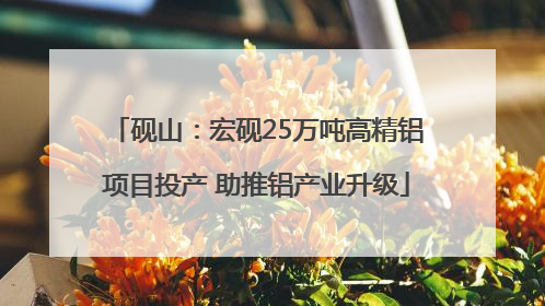 砚山：宏砚25万吨高精铝项目投产 助推铝产业升级