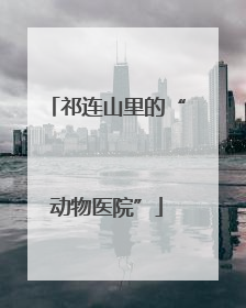 祁连山里的“动物医院”