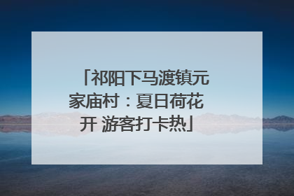 祁阳下马渡镇元家庙村：夏日荷花开 游客打卡热