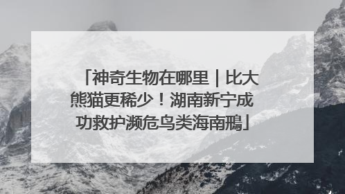 神奇生物在哪里｜比大熊猫更稀少！湖南新宁成功救护濒危鸟类海南鳽