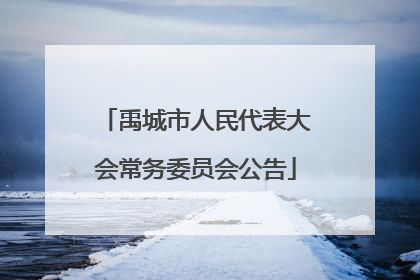 禹城市人民代表大会常务委员会公告