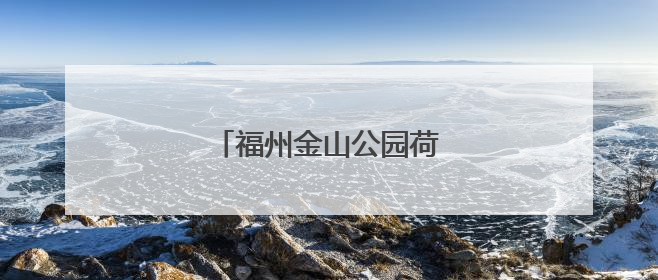 福州金山公园荷花盛开引游人