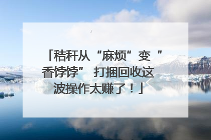 秸秆从“麻烦”变“香饽饽” 打捆回收这波操作太赚了！