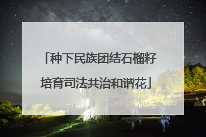 种下民族团结石榴籽 培育司法共治和谐花