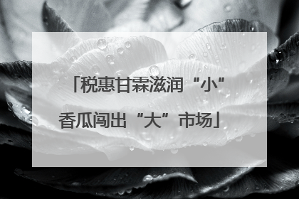 税惠甘霖滋润“小”香瓜闯出“大”市场
