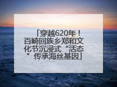 穿越620年！百崎回族乡郑和文化节沉浸式“活态”传承海丝基因