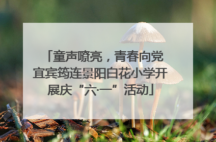 童声嘹亮，青春向党 宜宾筠连景阳白花小学开展庆“六·一”活动