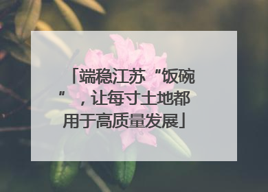 端稳江苏“饭碗”，让每寸土地都用于高质量发展