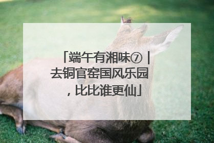 端午有湘味⑦｜去铜官窑国风乐园，比比谁更仙