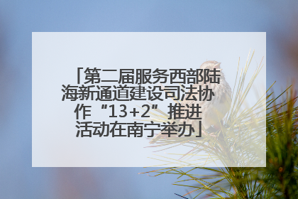 第二届服务西部陆海新通道建设司法协作“13+2”推进活动在南宁举办