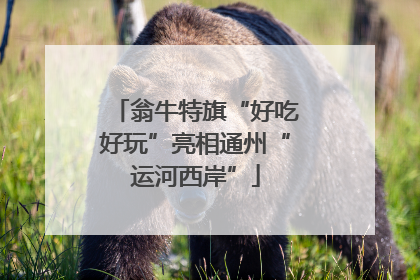 翁牛特旗“好吃好玩”亮相通州“运河西岸”