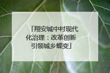 翔安城中村现代化治理：改革创新引领城乡蝶变