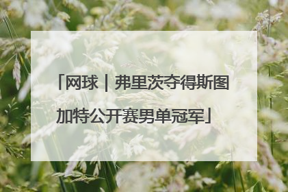 网球｜弗里茨夺得斯图加特公开赛男单冠军