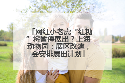 网红小老虎“红糖”将暂停展出？上海动物园：展区改建，会安排展出计划