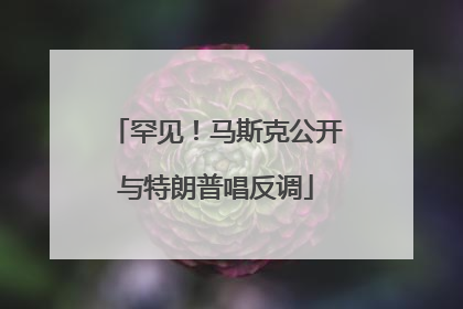 罕见！马斯克公开与特朗普唱反调