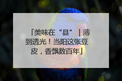 美味在“县”｜薄到透光！当阳这张豆皮，香飘数百年