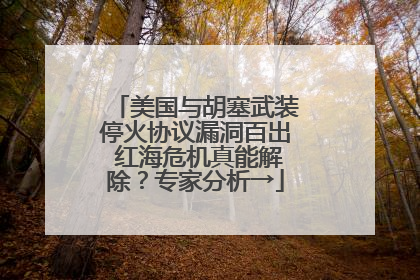 美国与胡塞武装停火协议漏洞百出 红海危机真能解除？专家分析→