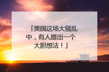 美国这场大骚乱中，有人提出一个大胆想法！