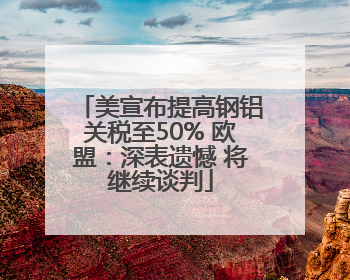 美宣布提高钢铝关税至50% 欧盟：深表遗憾 将继续谈判