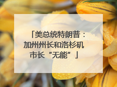 美总统特朗普：加州州长和洛杉矶市长“无能”