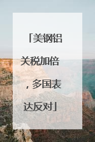 美钢铝关税加倍，多国表达反对