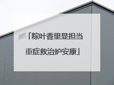粽叶香里显担当 重症救治护安康