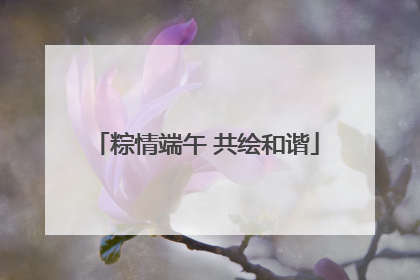 粽情端午 共绘和谐