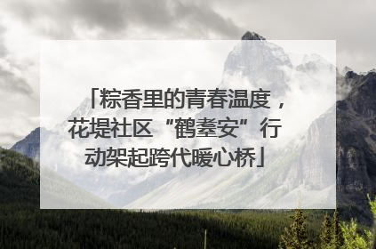 粽香里的青春温度，花堤社区“鹤耋安”行动架起跨代暖心桥