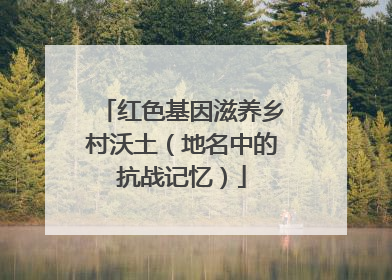 红色基因滋养乡村沃土（地名中的抗战记忆）