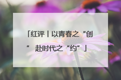 红评丨以青春之“创” 赴时代之“约”